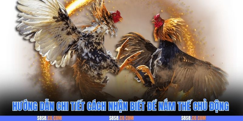 Hướng dẫn chi tiết cách nhận biết để nắm thế chủ động