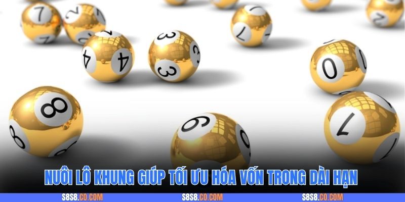 Nuôi lô khung giúp tối ưu hóa vốn trong dài hạn